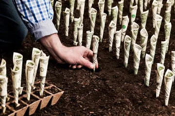 High-Yield Stocks: Realty Income & Bank of Nova Scotia for 2025