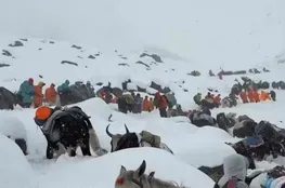 Everest Blizzard Stranding: Hikers Dig Out with Cooking Pots - A Resourceful Survival Story