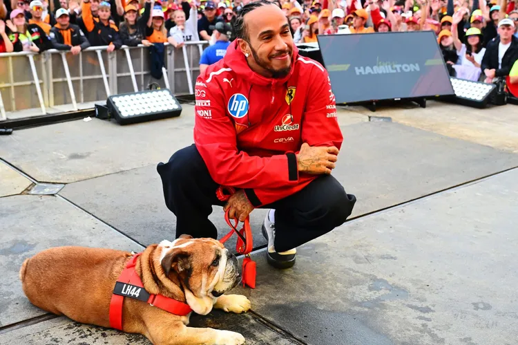 Lewis Hamilton Reflects on Roscoe's Passing and Singapore Grand Prix Hopes