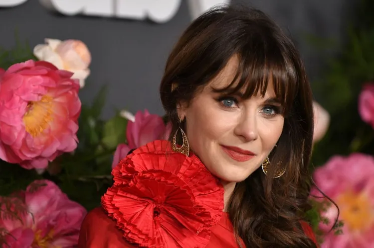 Stylish Pet Beds: Elevating Your Home's Decor