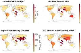 Sustainable Development Key to Limiting Wildfire Damages - IIASA Research