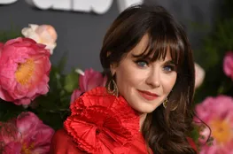 Stylish Pet Beds: Elevating Your Home's Decor