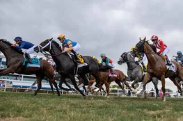 Daily Racing Form - Horse Racing News & Past Performances