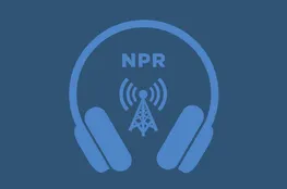 Sébastien Lecornu Resignation: Crisis in France and EU